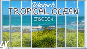 4K_Tropical_Ocean_View_Hawaii_Episod_#4_NATURE_RELAX_VIDEO_8_hours