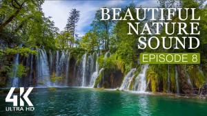 4k_Beautuful_Nature_Sound_Episode_8_NATURE_RELAX_VIDEO_8_Hours_YOUTUBE