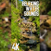 4k_Relaxing_Water_Sounds_of_a_Stream_Vertical_Display_Video_3_HOURS