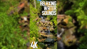 4k_Relaxing_Water_Sounds_of_a_Stream_Vertical_Display_Video_3_HOURS