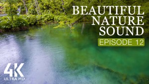 4K_Beautiful_Nature_Sound_Episode_12_NATURE_RELAX_VIDEO_8_hours