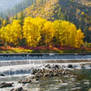 4K_Fall_Foliage_of_Leavenworth_Area,_US_2_along_Wenatchee_River