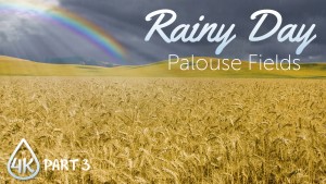 4K_Palouse_Wheat_Fields_on_a_Rainy_Day,_Epizode_#3_Nature_Relax