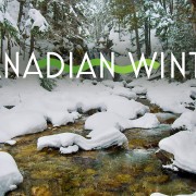 4K_Beautiful_Snowy_Canadian_Winter_Nature_Relax_Video_8_hours_YOUTUBE