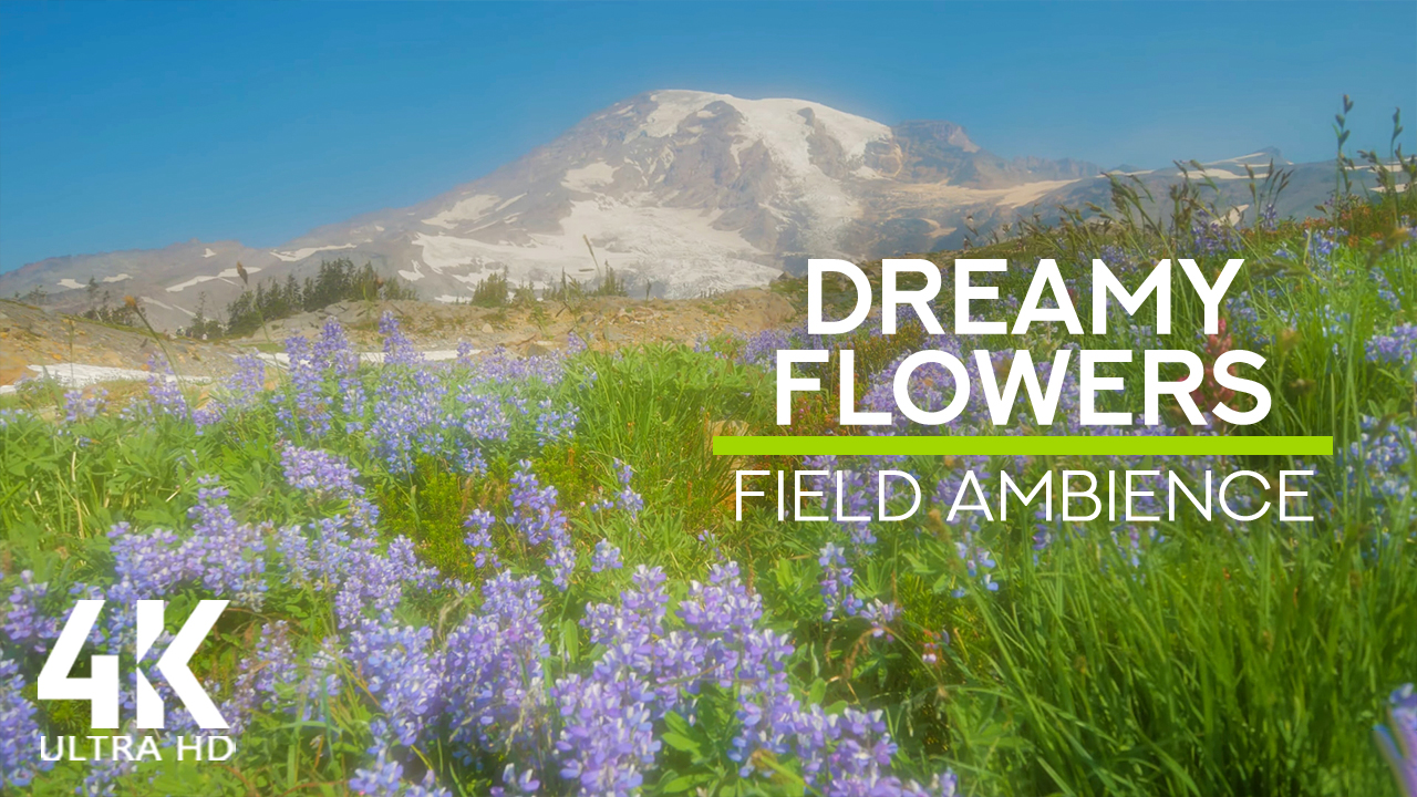 4K_Dreamy_mountain_wildflowers_Nature_relax_Video_8_HOURS_ONLY_SELL