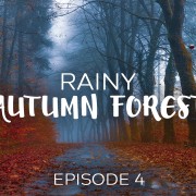 4K_Foggy_Rainy_Autumn_Forest_Episode_#4_Nature_Relax_Video_8_hours