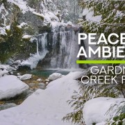4k_Canadian_Waterfalls_in_Winter_Gardner_Creek_Falls,_Nakusp,_BC