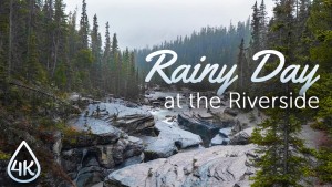 4k_Rainy_Day_on_the_Riverside_Nature_Relax_Video_8_HOURS_YOUTUBE