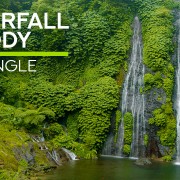 4k_WATERFALLS_IN_THE_JUNGLE_Nature_Relax_Video_8_Hours_YOUTUBE
