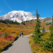 5K_Skyline_Trail,_Mount_Rainier,_Autumn,_October_4_2021_Virtual