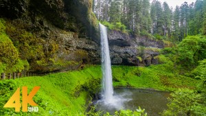 SILVER_FALLS_STATE_PARK_Nature_Relax_Film_Summer_June_2021_youtube
