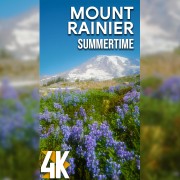 4K SUMMER AT RAINIER Vertical Display Video 2 HOURS YOUTUBE