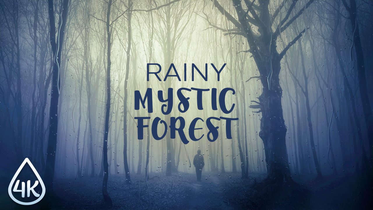 4K_Foggy_Mystic_Rainy_Forest_Nature_Relax_Video_8_hours_YOUTUBE