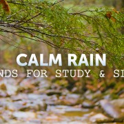 4K_Sound_of_a_Calm_Rain_Nature_Relax_Video_Day_8_Hours_YOTUBE