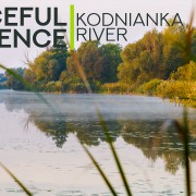4k_Fog_over_the_river,_Kodnianka_river,_Ukraine_Nature_Relax_Video