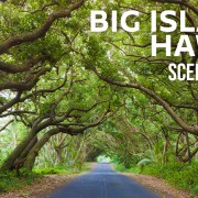 5k_Stunning_Roads_of_the_Big_Island,_Hawaii,_BEST_SHOTS_360_VR_Scenic