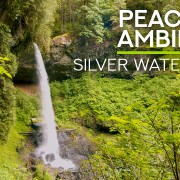 4K_AMAZING_SILVER_WATERFALLS_IN_OREGON_STATE_Part_5_Nature_Relax