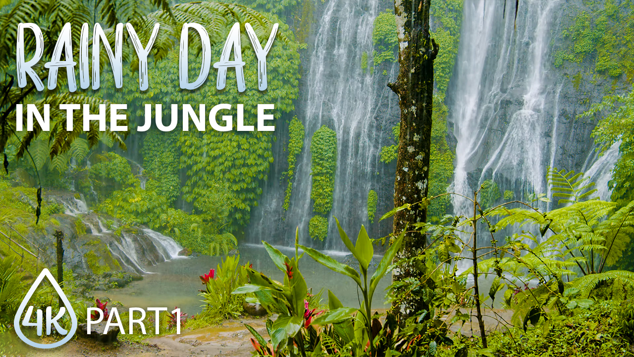 4K_RAINY_DAY_AT_JUNGLE_WATERFALL_Part_1_Nature_Relax_Video_8_HOURS