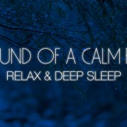 4K_Sound_of_a_Calm_Rain_Nature_Relax_Video_Night_8_Hours_YOUTUBE