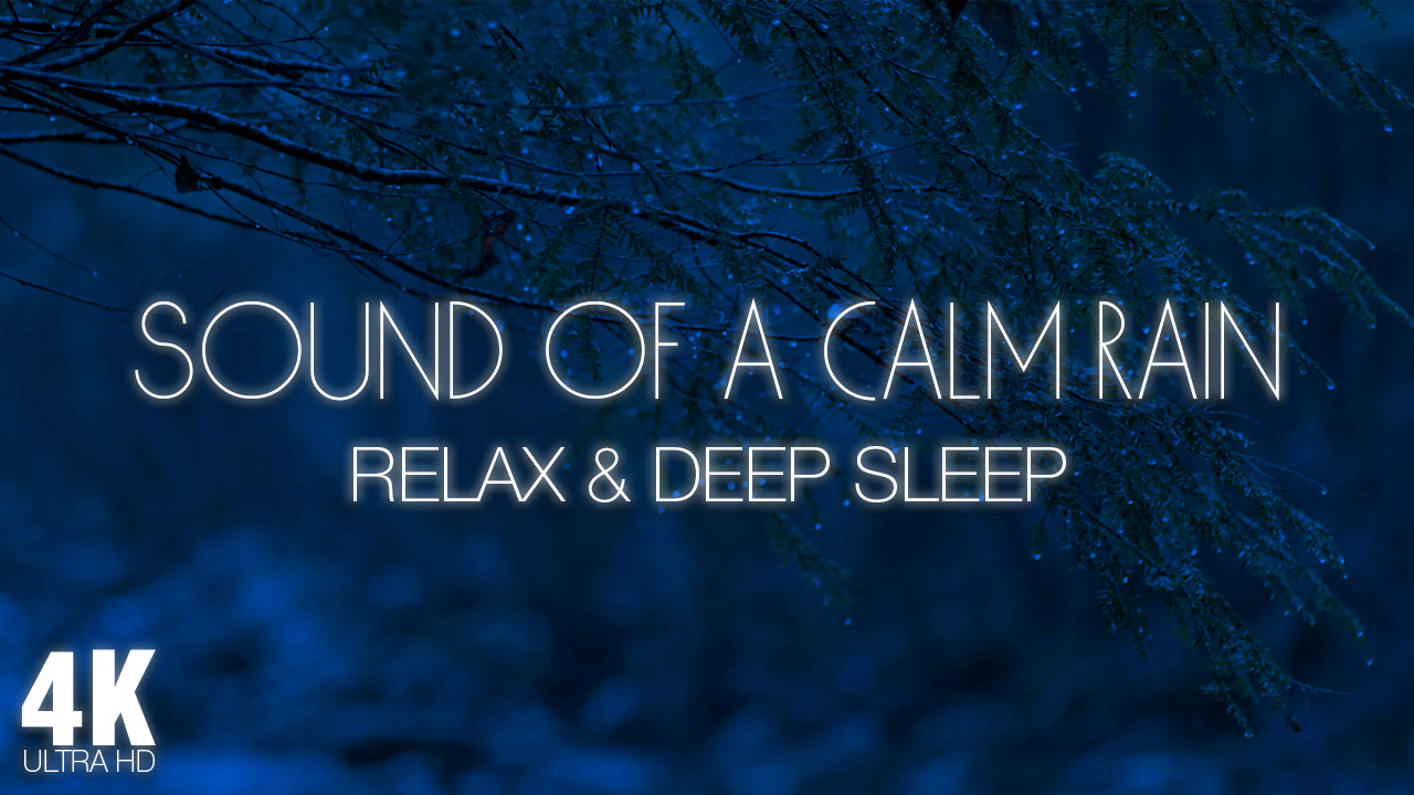 4K_Sound_of_a_Calm_Rain_Nature_Relax_Video_Night_8_Hours_YOUTUBE