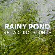 6k RAINY GREEN POND Nature Relax Video 8 Hours YOUTUBE