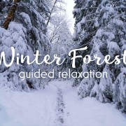 WINTER FOREST RELAX NARRATED youtube