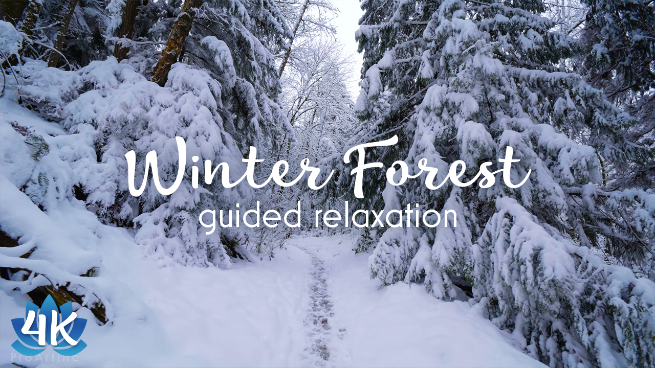 WINTER FOREST RELAX NARRATED youtube