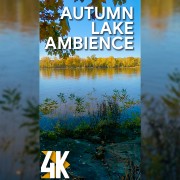 4K_AUTUMN_LAKE_AMBIENCE_Vertical_Display_Video_2_HOURS_YOUTUBE