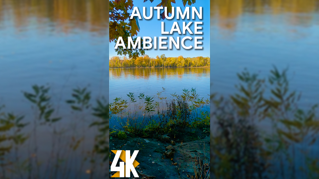 4K_AUTUMN_LAKE_AMBIENCE_Vertical_Display_Video_2_HOURS_YOUTUBE