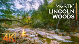 4K_Mystic_River_Lincoln_Woods_Trail_NATURE_RELAX_VIDEO_8_Hours_YOUTUBE
