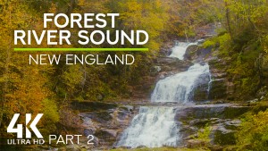 4K_SOUND_OF_FOREST_RIVER_Part_2_Nature_Relax_Video_8_hours_YOUTUBE