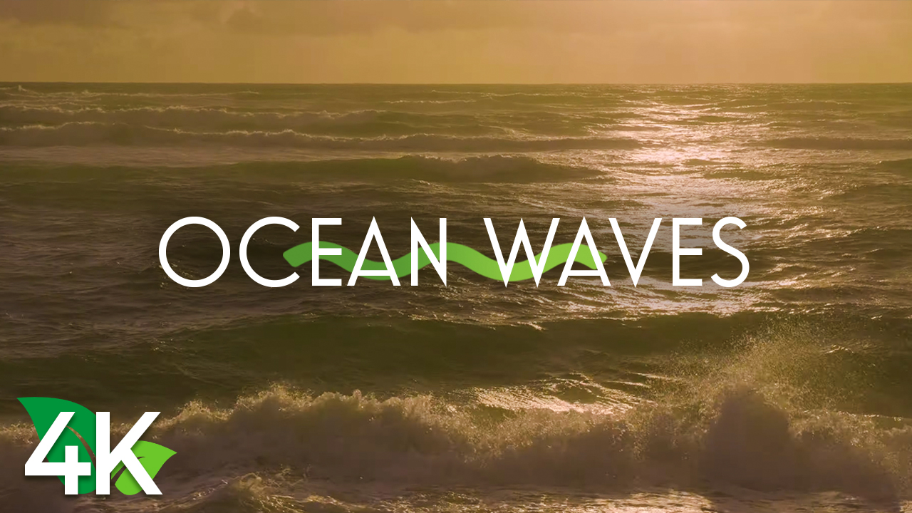 4k Ocean Waves at Sunrise NATURE RELAX VIDEO 8 HOURS YOUTUBE
