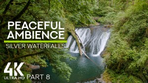 4K_AMAZING_SILVER_WATERFALLS_IN_OREGON_STATE_Part_8_NATURE_RELAX