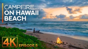 4K_Campfire_on_Hawaii_Beaches_Kauai_Island,_Part_5_Nature_Relax