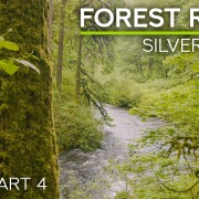 4k Forest River Part 4 Nature Relax Video 8 Hours YOUTUBE
