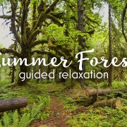 SUMMER FOREST RELAX sell app