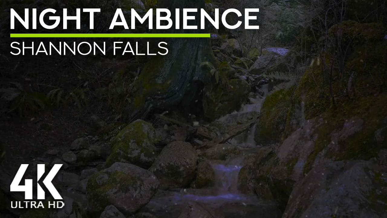 4K_Night_ambience_of_a_forest_waterfall_Shannon_Falls,_Canada_Nature