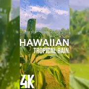 4K_Tropical_Hawaiian_Rain_Part_1_Vertical_Display_Video_2_Hours