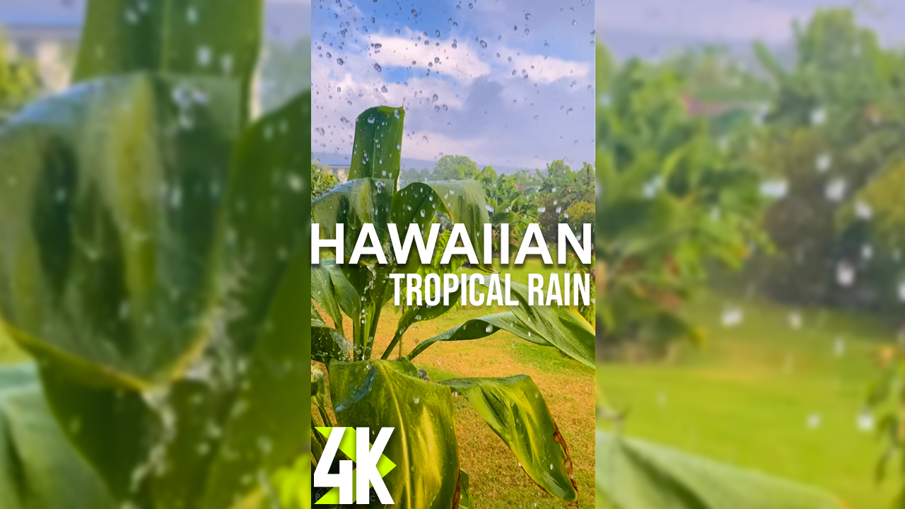 4K_Tropical_Hawaiian_Rain_Part_1_Vertical_Display_Video_2_Hours