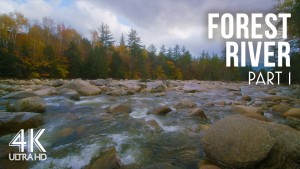 4k_SOUND_OF_FOREST_RIVER_Part_1_NATURE_RELAX_VIDEO_8_Hours_Day_YOUTUBE