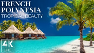 4K French Polynesia Tropical Beauty 9 hours YOUTUBE