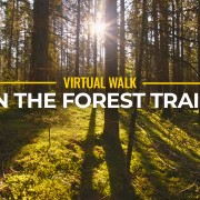 4K On the forest trails YOUTUBE