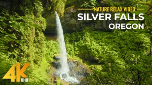 4K_Silver_Falls_Silver_Falls_State_Park,_Oregon_Scenic_Nature_Film