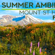 4K_Summer_Relax_at_MT_ST_HELENS_Episode_6_NATURE_RELAX_VIDEO_8_Hours