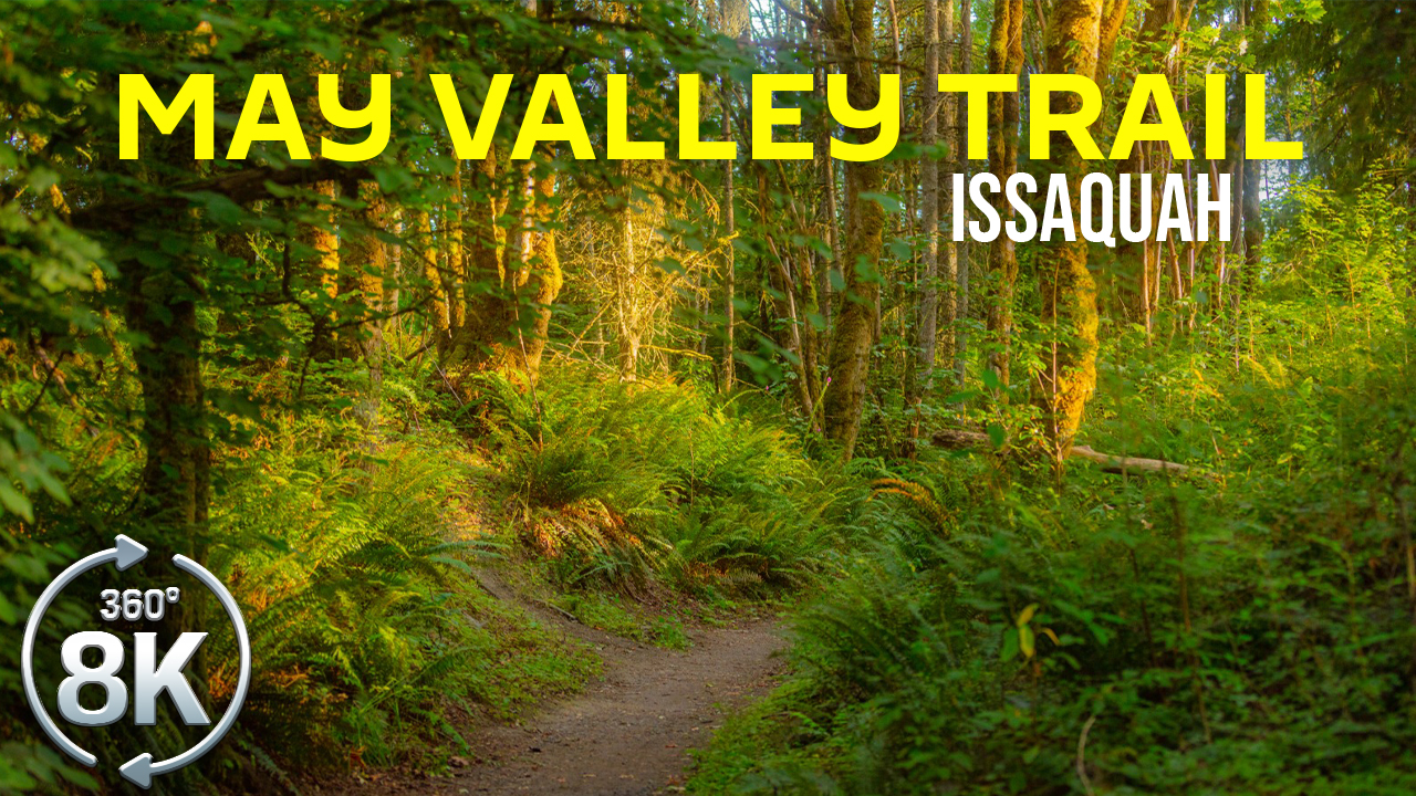 8k May Valley Loop Trail, Issaquah VR 360 video YOUTUBE
