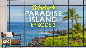 4K_Paradise_Island_3_Maui,_Hawaii_Nature_Relax_Video_8_hours_YOUTUBE