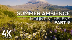 4K_Summer_Relax_at_MT_ST_HELENS_Episode_9_Nature_Relax_Video_8_Hours