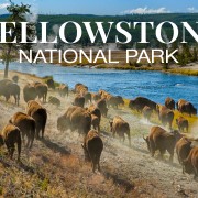 4K_Yellowstone_National_Park_4K_TV_WALLPAPERS_SCREENSAVERS_9_hours