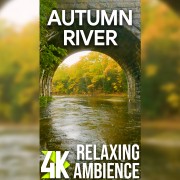 4k AUTUMN RIVER Vertical Display Video 2 Hours YOUTUBE
