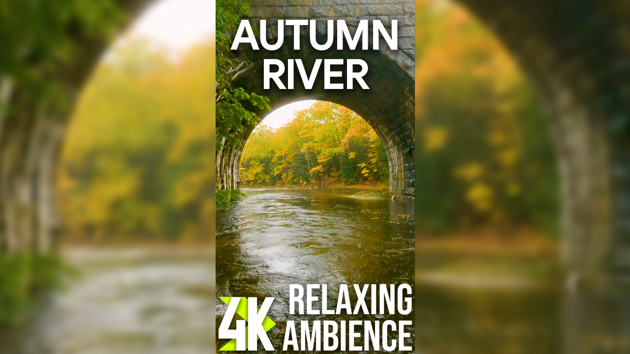 4k AUTUMN RIVER Vertical Display Video 2 Hours YOUTUBE